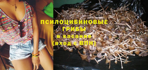 марки nbome Бородино