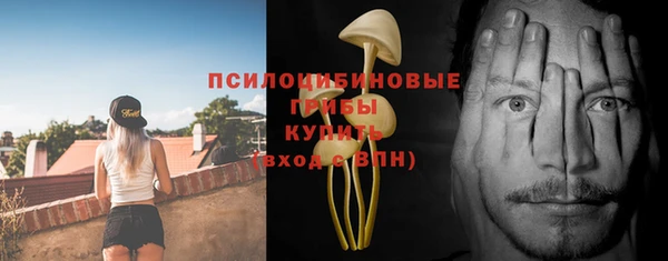 гидропоника Бронницы