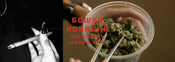 ПСИЛОЦИБИНОВЫЕ ГРИБЫ Бугульма