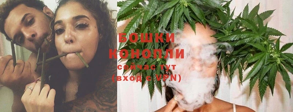 ПСИЛОЦИБИНОВЫЕ ГРИБЫ Бугульма