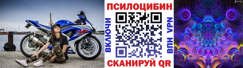 Галлюциногенные грибы Cubensis  Купить где  Багратионовск 