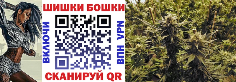 Конопля OG Kush  Купить закладки  Багратионовск 
